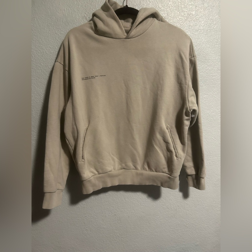 Pangaia hoodie oversized